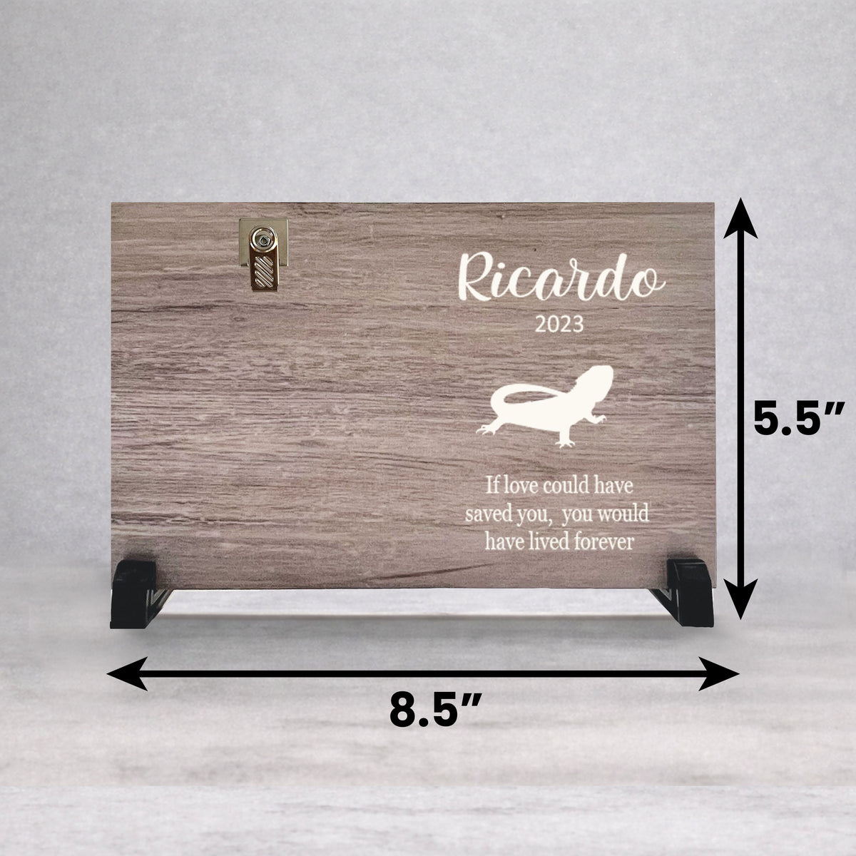 Bearded Dragon Memorial Frame - Personalized Pet Sympathy Gift & Indoor Display