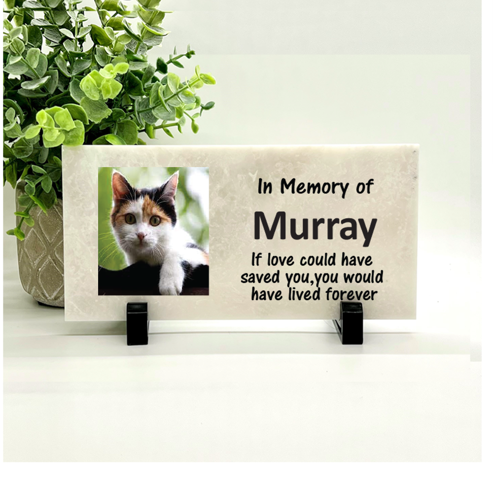 Cat Memorial Stone - Personalized Photo Pet Memorial Stone | Custom Outdoor Plaque