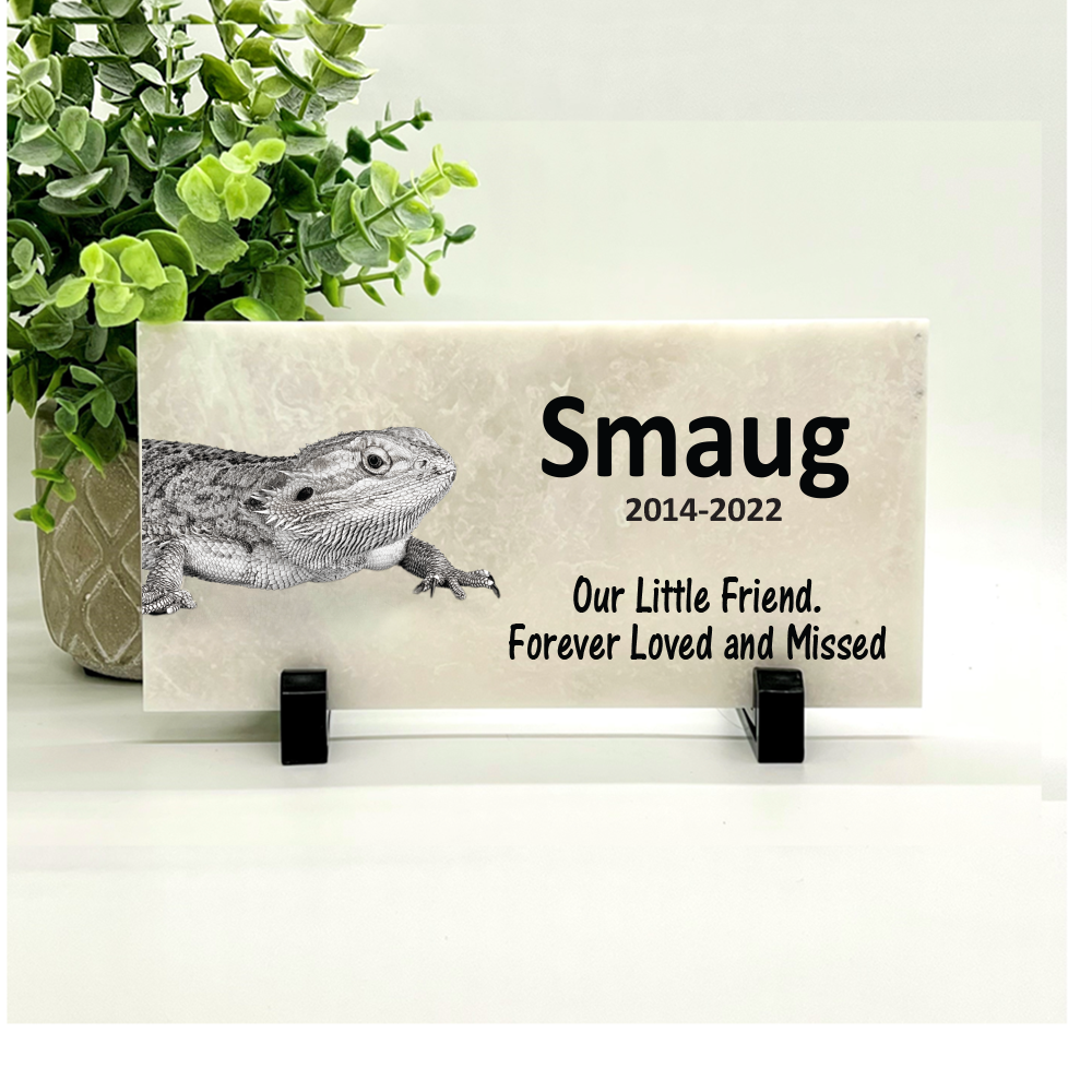 Iguana Memorial Stone - Personalized Bearded Dragon Memorial Pet Loss Sympathy Gift