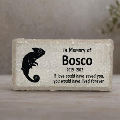 Chameleon Memorial Stone - Personalized Custom Pet Memorial Gift