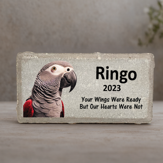 African Grey Memorial Stone - Personalized Pet Memorial Stone With Heartfelt Tribute