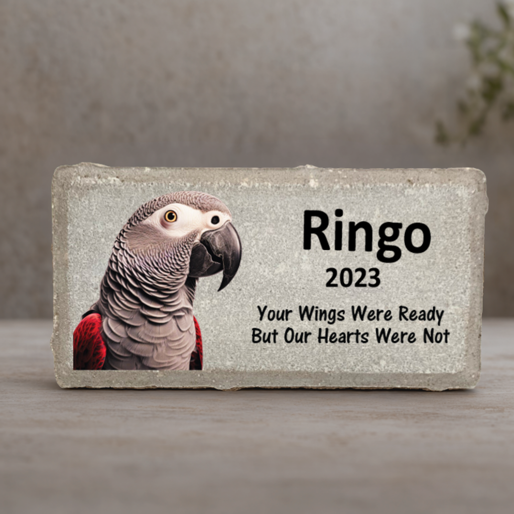 African Grey Memorial Stone - Personalized Pet Memorial Stone With Heartfelt Tribute