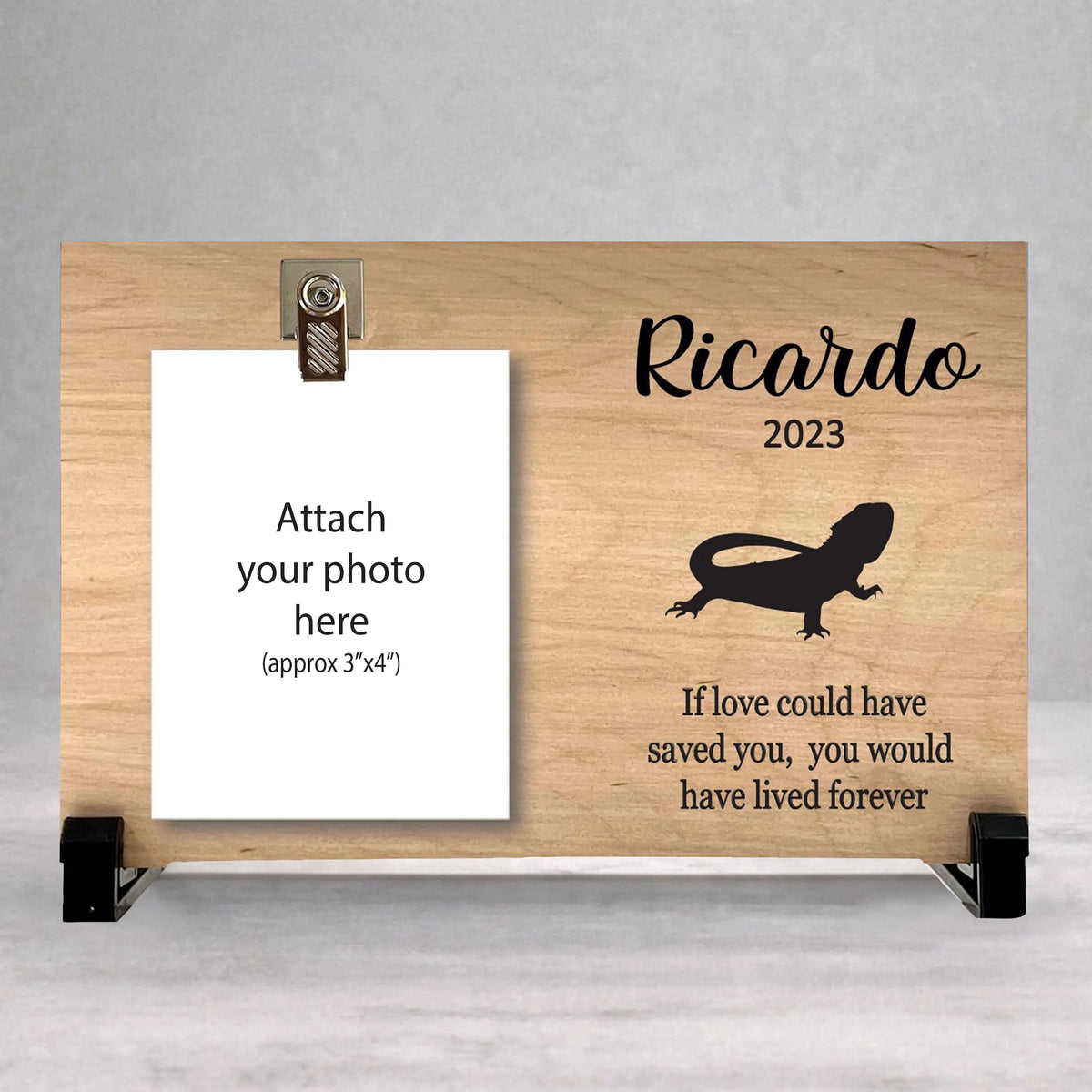 Bearded Dragon Memorial Frame - Personalized Pet Sympathy Gift & Indoor Display