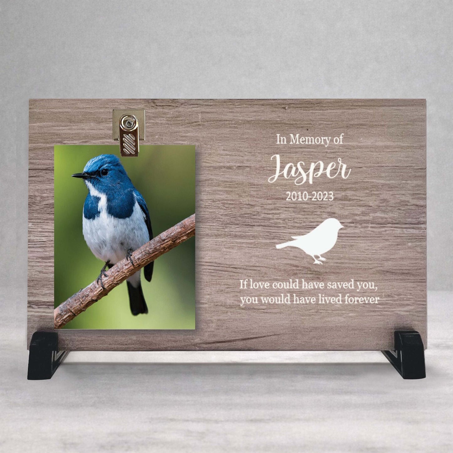 Bird Memorial Frame - Personalized Wooden Photo Keepsake Gift For Bird Loss
