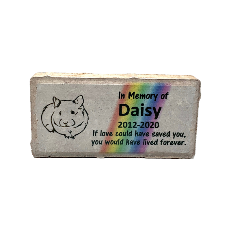 Guinea Pig Memorial Stone – Personalized Rainbow Bridge Pet Sympathy Gift