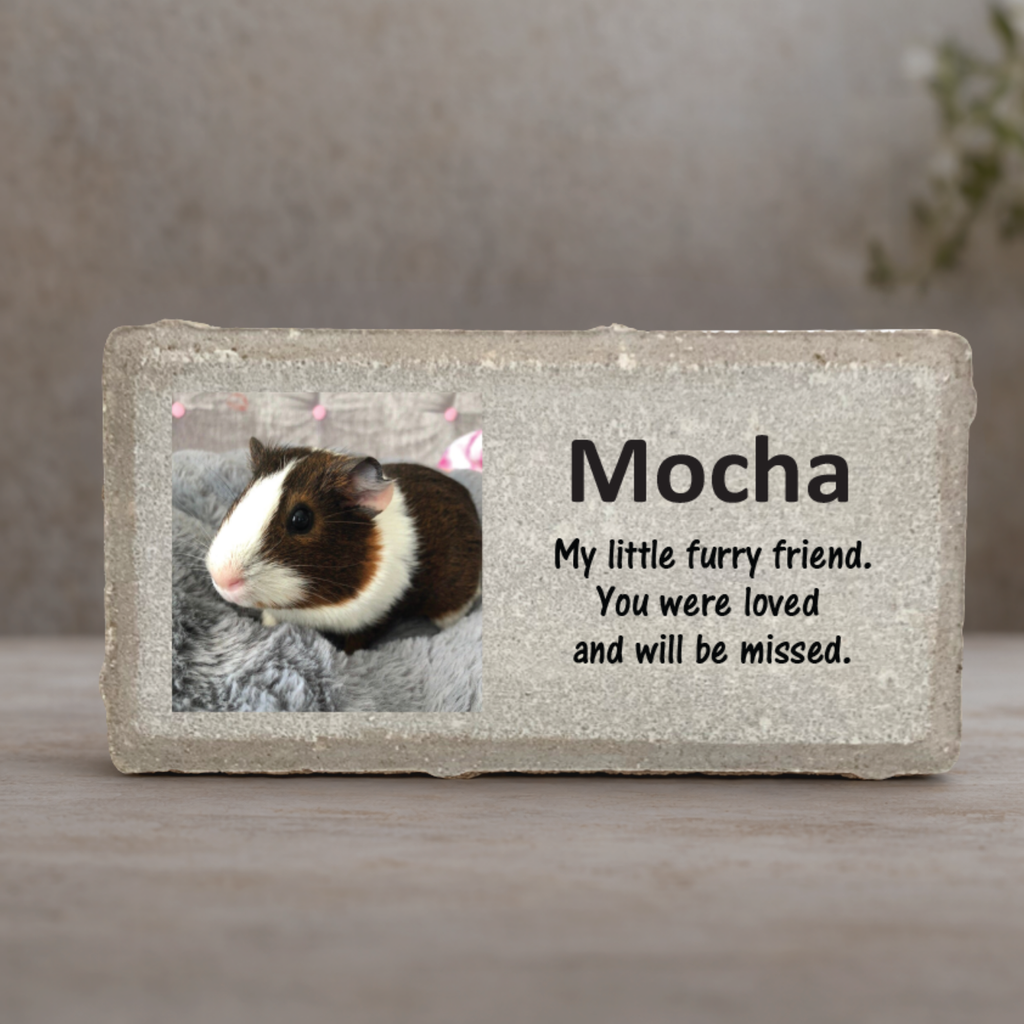 Guinea Pig Memorial Stone - Personalized Photo Pet Loss Gift