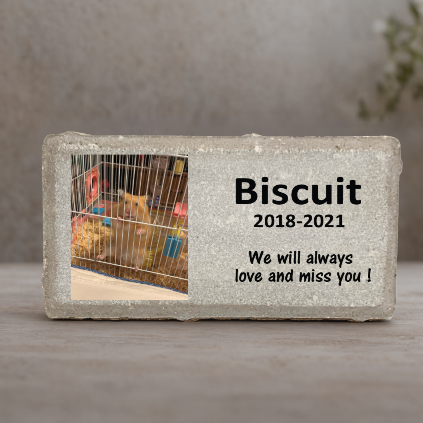 Hamster Memorial Stone | Custom Pet Photo Memorial Gift