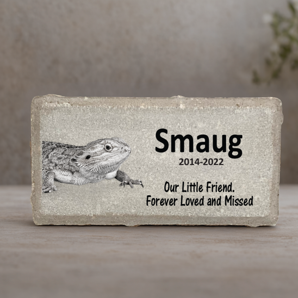 Iguana Memorial Stone - Personalized Bearded Dragon Memorial Pet Loss Sympathy Gift