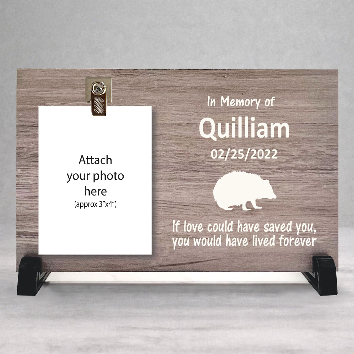 Hedgehog Memorial Frame - Personalized Pet Memorial Photo Gift