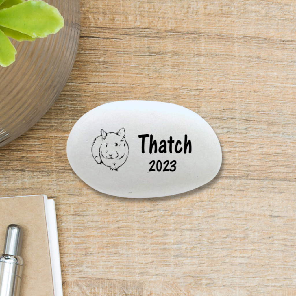 Guinea Pig Memorial Stone - Personalized Pet Memorial Keepsake Indoor Stone