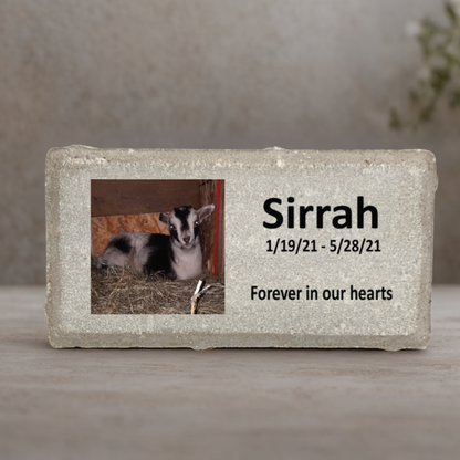 Goat Photo Memorial Stone - Personalized Custom Memorial Gift