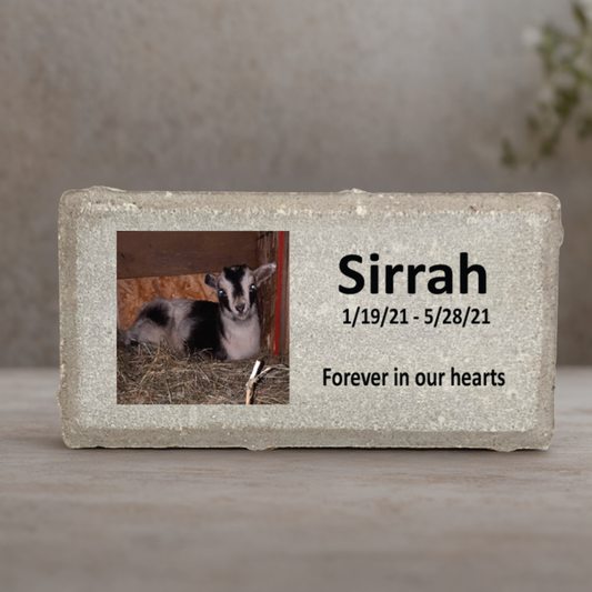 Goat Photo Memorial Stone - Personalized Custom Memorial Gift