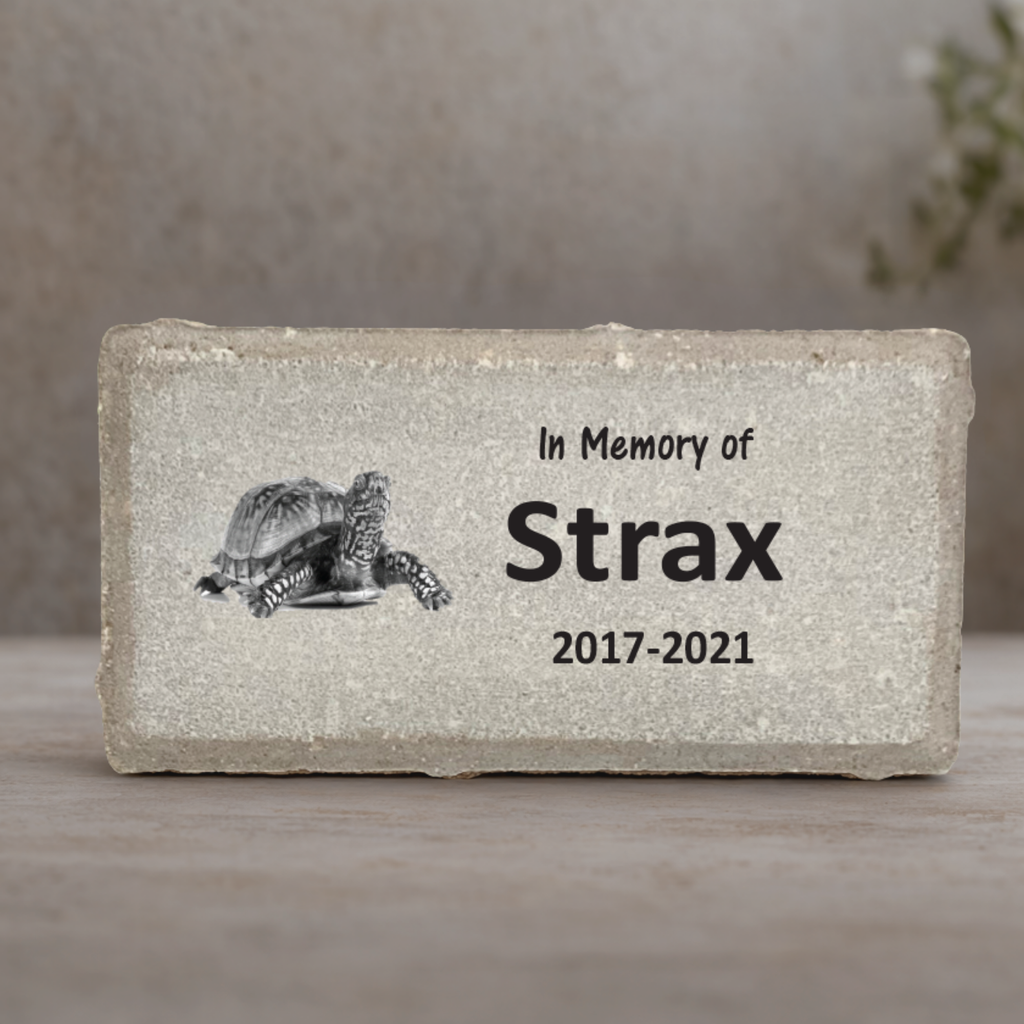 Turtle Memorial Stone | Personalized Pet Memorial Stone | Custom Sympathy Gift