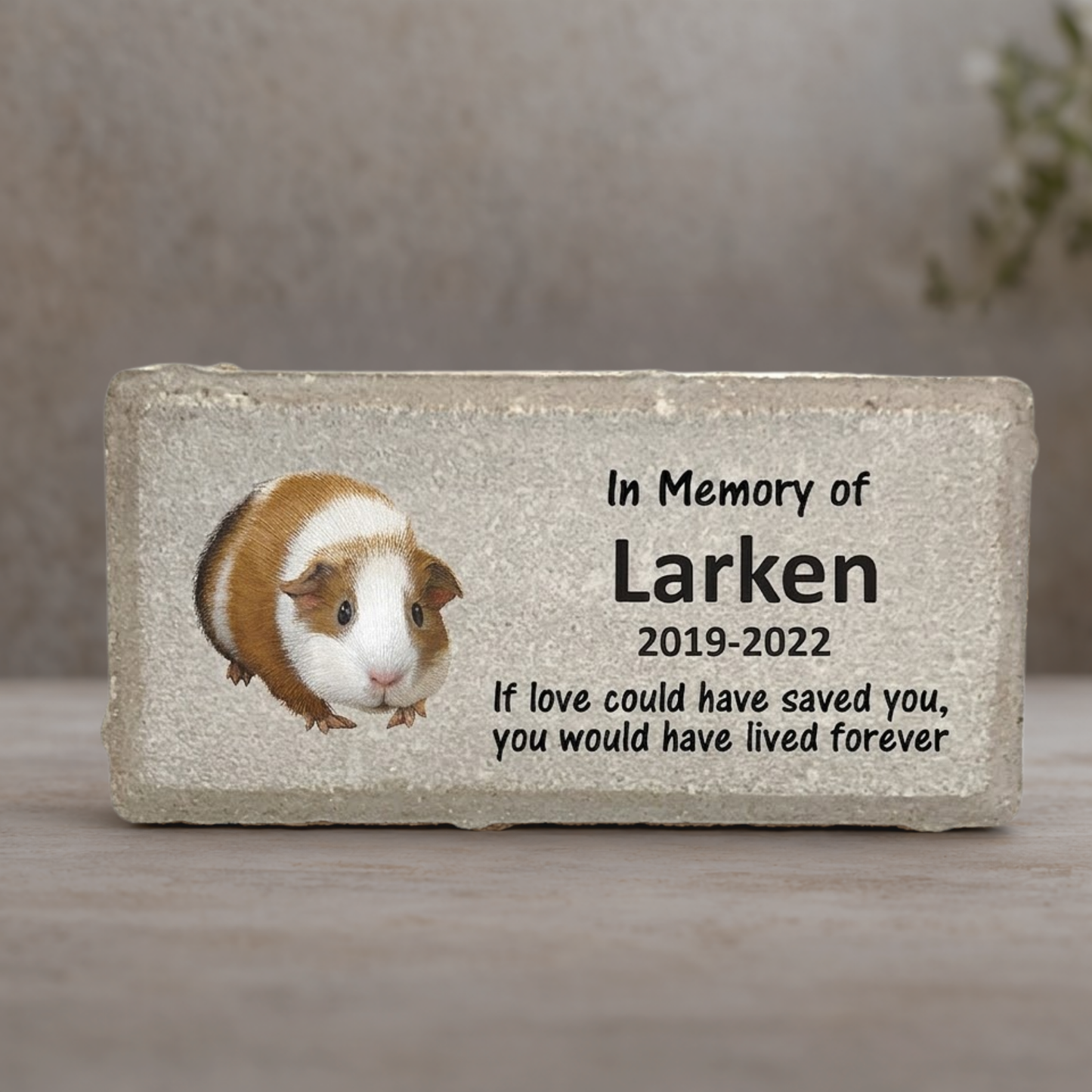 Guinea Pig Memorial Stone - Personalized Pet Keepsake | Custom Sympathy Gift