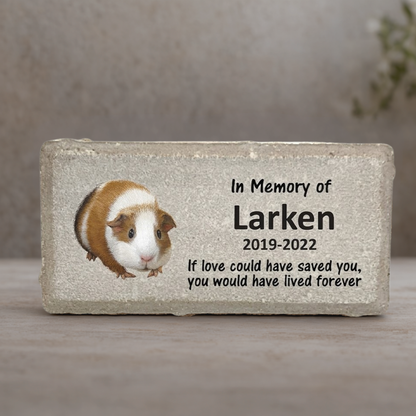 Guinea Pig Memorial Stone - Personalized Pet Keepsake | Custom Sympathy Gift