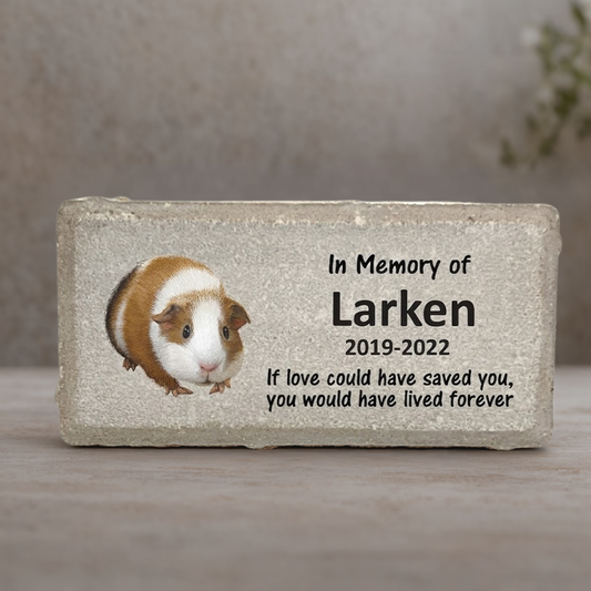 Guinea Pig Memorial Stone - Personalized Pet Keepsake | Custom Sympathy Gift