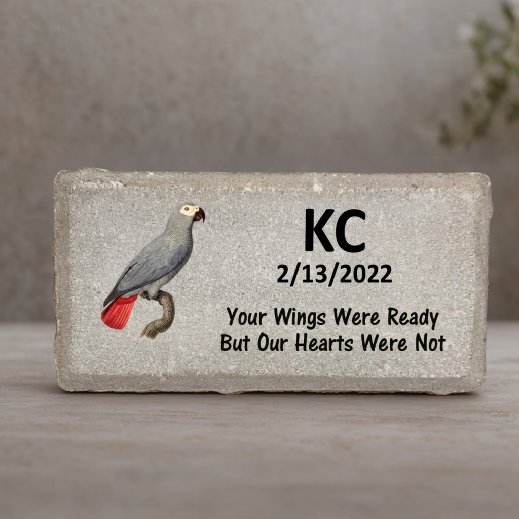 African Grey Memorial Stone – Personalized Pet Memorial Stone For Bird Remembrance