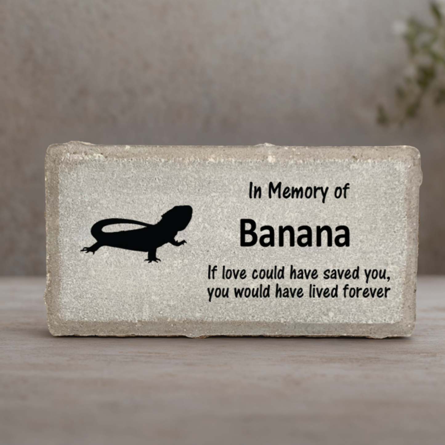 Bearded Dragon Memorial Stone - Personalized Pet Remembrance GIft