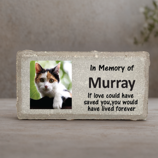 Cat Memorial Stone - Personalized Photo Pet Memorial Stone