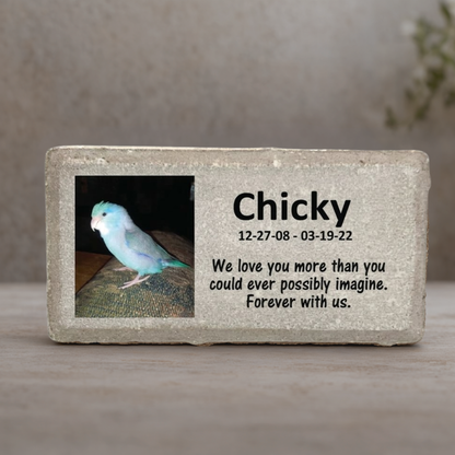 Bird Memorial Stone - Personalized Photo Keepsake | Custom Pet Memorial
