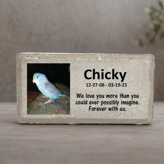 Bird Memorial Stone - Personalized Photo Keepsake | Custom Pet Memorial