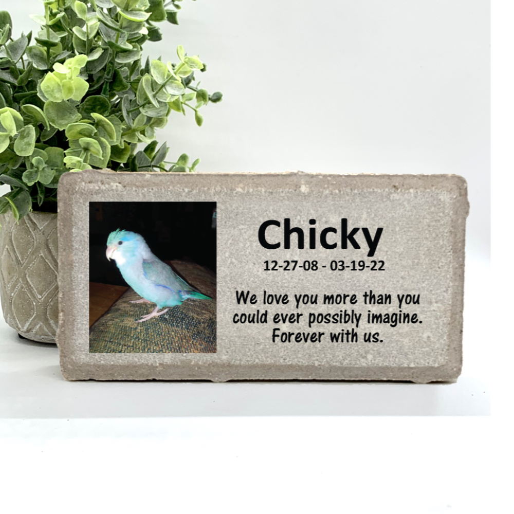 Memorial Bird Rip Bird Photo Memorial Stone - Personalized Pet Loss Gift – Giftsake