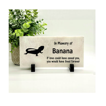 Bearded Dragon Memorial Stone - Personalized Pet Remembrance Garden Marker