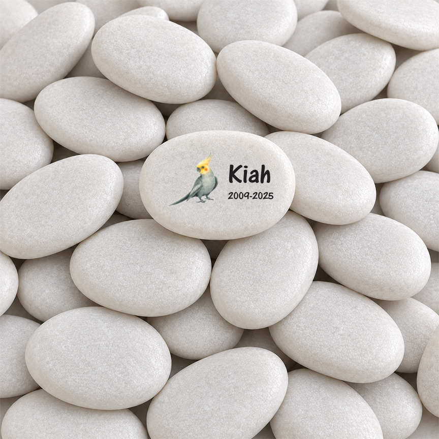 Cockatiel Memorial Stone - Personalized Pet Keepsake | Custom Memorial Gift