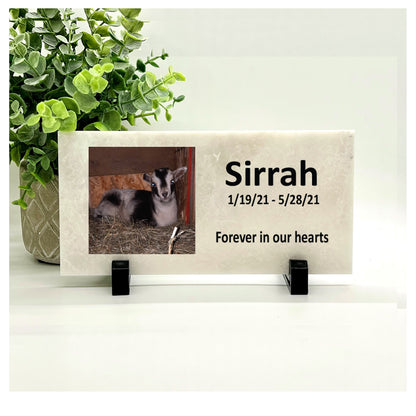 Goat Memorial Stone - Personalized Custom Photo Memorial With Saying