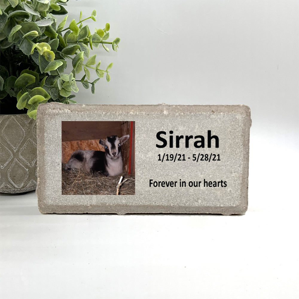 Goat Memorial Stone - Personalized Custom Photo Memorial With Saying