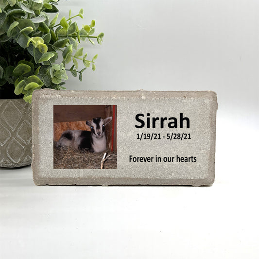 Goat Memorial Stone - Personalized Custom Photo Memorial With Saying