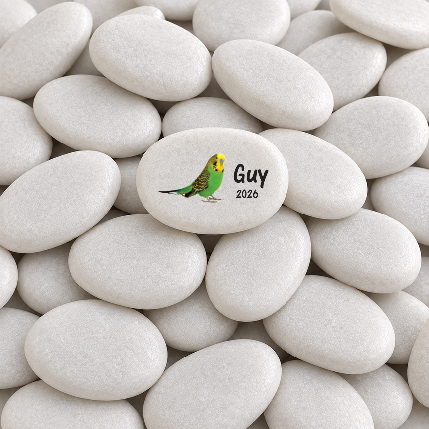 Parakeet Memorial Stone – Personalized Custom Pet Sympathy Gift Keepsake