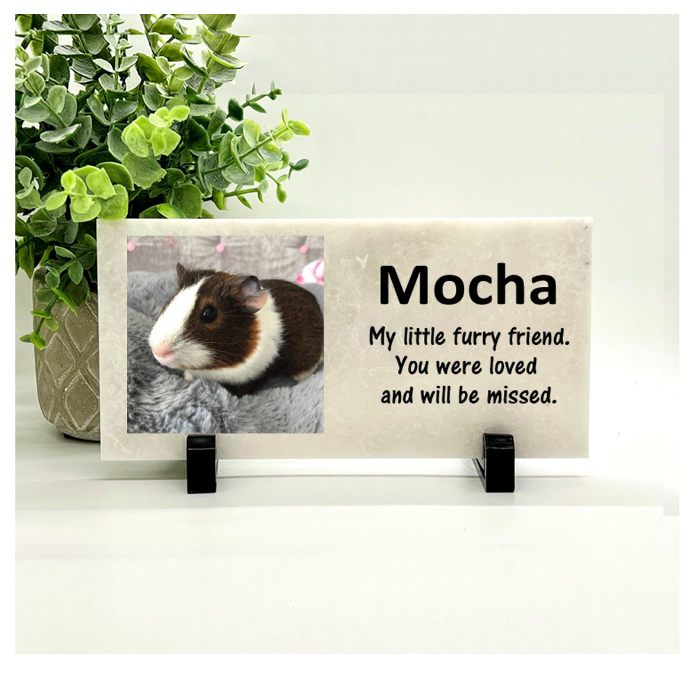 Guinea Pig Memorial Stone - Personalized Photo Pet Loss Gift