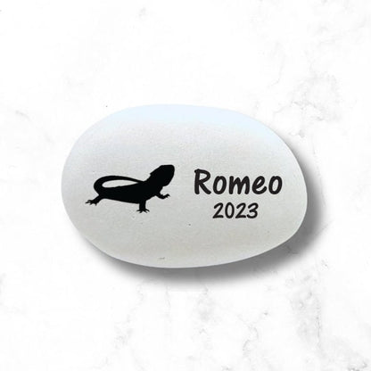 Bearded Dragon Memorial Stone- Personalized Pet Keepsake- Pet Loss Gift - Custom Dragon Sympathy Gift - Bearded Dragon Condolence Gift- - MemorialGiftsandmore - Memorial Stones - Pets