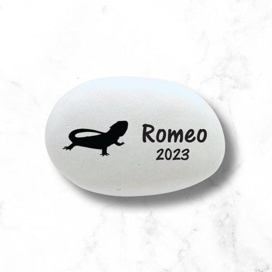 Bearded Dragon Memorial Stone- Personalized Pet Keepsake- Pet Loss Gift - Custom Dragon Sympathy Gift - Bearded Dragon Condolence Gift- - MemorialGiftsandmore - Memorial Stones - Pets