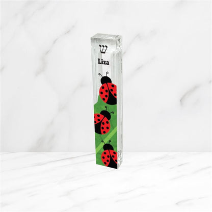 Ladybug Mezuzah - Acrylic Mezuzah - Modern Mezuzah - Personalized Judaica Gift - New Baby Gift - New Home Gift - Ladybugs on leaf