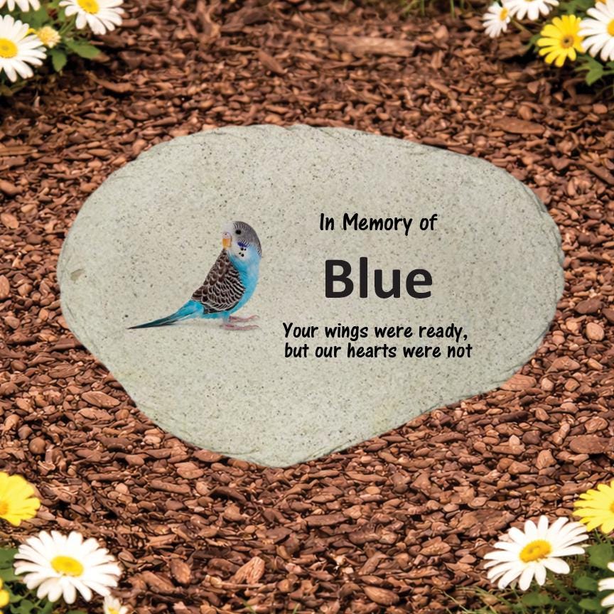 Blue Parakeet Memorial Stone, Personalized Budgie Garden Marker, Bird Sympathy Gift, “Your Wings Were Ready But Our Hearts Were Not” - MemorialGiftsandmore - Memorial Stones - Pets