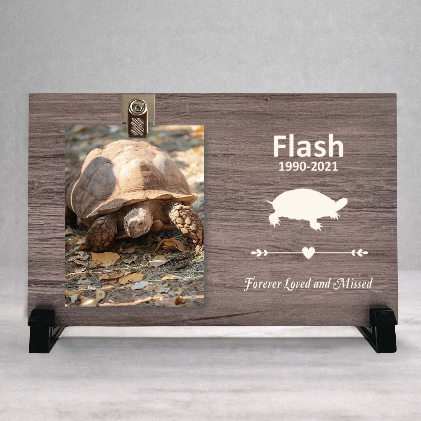 Turtle Memorial Gift - Personalized Wooden Photo Frame