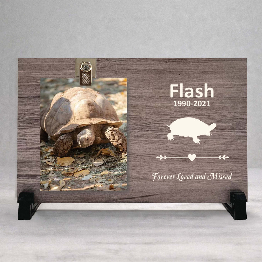 Turtle Memorial Gift - Personalized Wooden Photo Frame