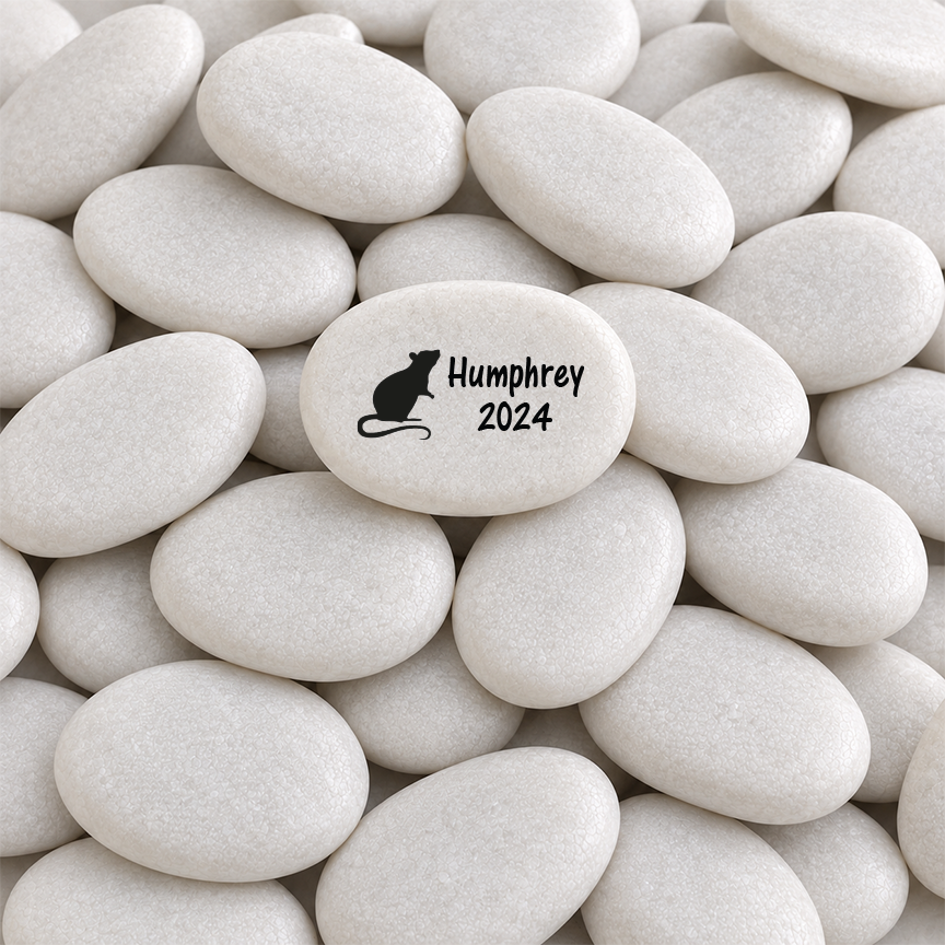 Rat Memorial Stone - Personalized Pet Loss Keepsake | Custom Memorial Gift