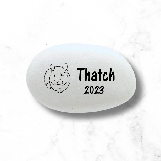 Guinea Pig Memorial Stone - Personalized Pet Memorial Keepsake Indoor Stone