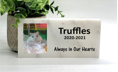 Hamster Memorial Stone | Custom Pet Memorial Gift - Outdoor Concrete Plaque