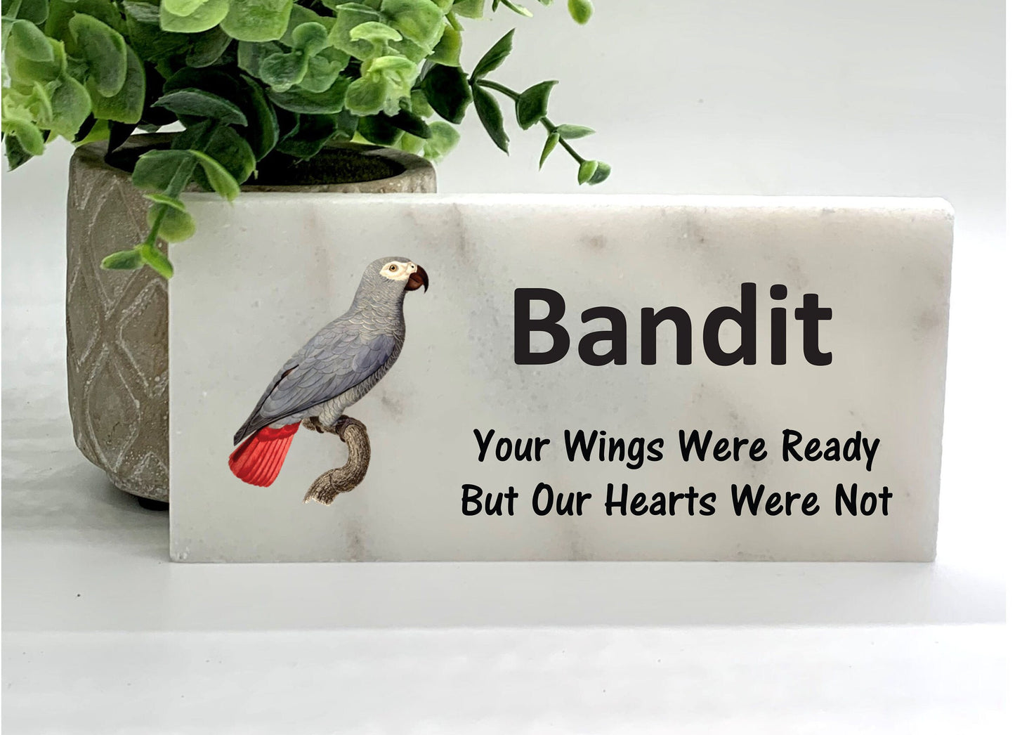 African Grey Memorial Stone – Personalized Pet Memorial Stone For Bird Remembrance